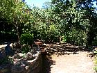 dcp03858.jpg